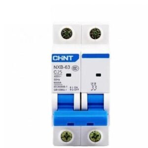 CHINT NXB-63 C-curve 2P 25A